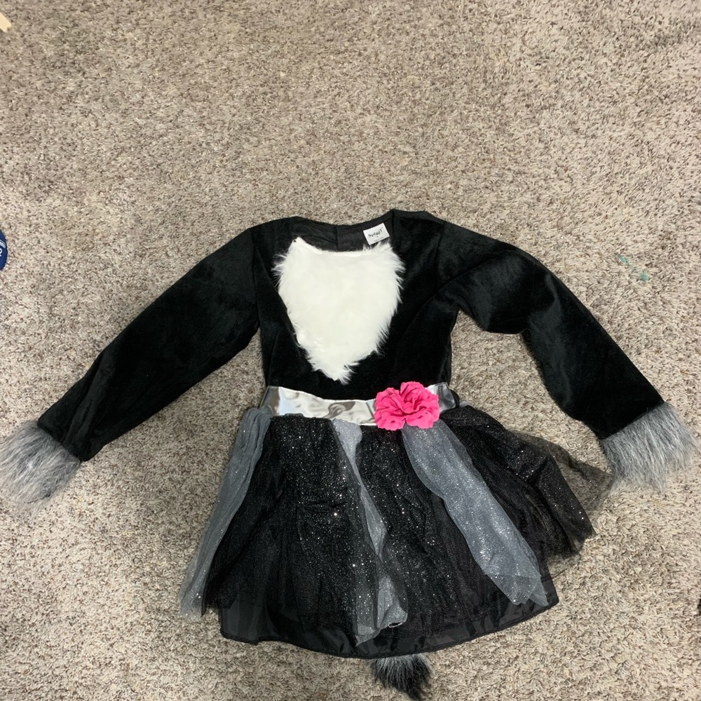 Girl raccoon costume